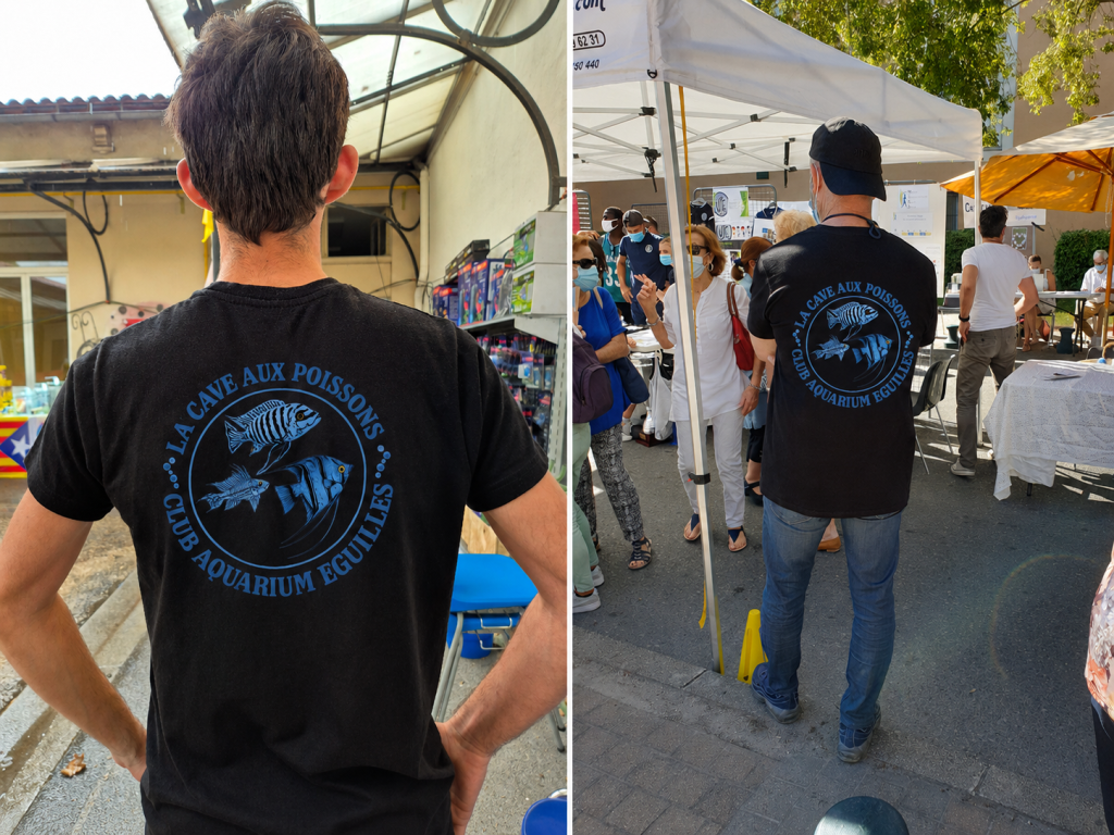 Photo. Nouveau logo sur le T-shirt.